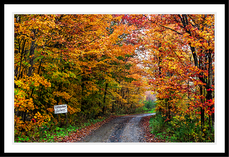 A country road shot in the Fall season.